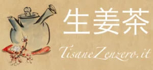 Tisane: gusto e benessere su Tisane Zenzero.it